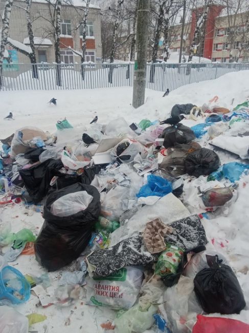 Гудованцева 15. Напротив детский сад..невывозят мусор от слово совсем..проезд есть дорогу..