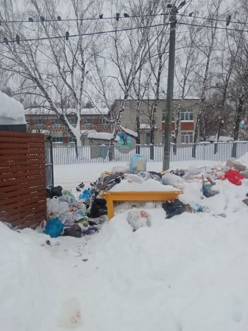 Гудованцева 15. Напротив детский сад..невывозят мусор от слово совсем..проезд есть дорогу..