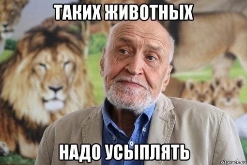 Артем Усс назвал «внезапным» для себя побег из-под домашнего ареста в Италии  Сын красноярского..