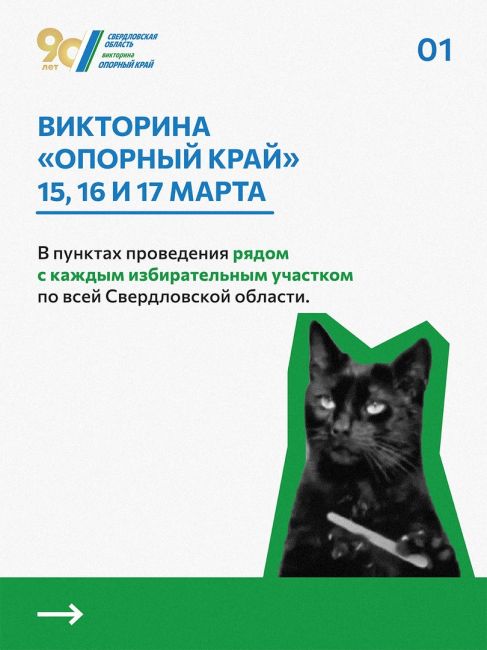 Объясняем на котиках: когда пройдёт викторина «Опорный край», как принять участие и какие подарки можно..