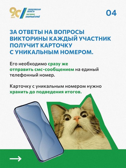 Объясняем на котиках: когда пройдёт викторина «Опорный край», как принять участие и какие подарки можно..