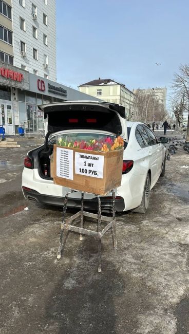 Цветочные магнаты активизировались по всему городу..