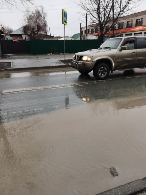 В Новосибирске на 6-м Бронном переулке женщина наступила в лужу и провалилась в колодец  - Я вышла из дома и..