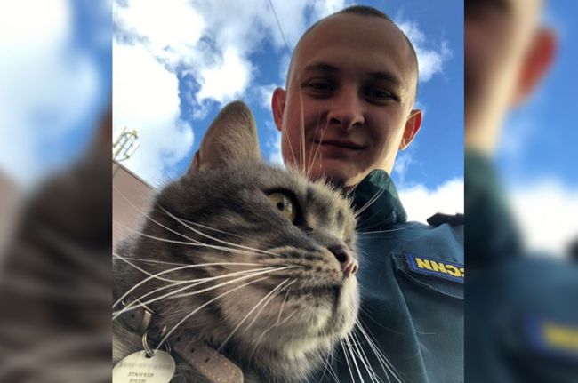 В Новосибирске сотрудник МЧС спас кота, который три дня просидел на дереве 
Данил Нестеров, механик..