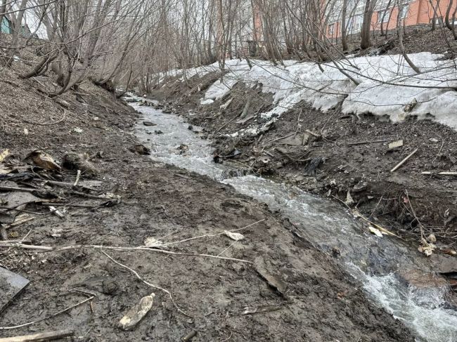 Уровень воды в реках и речушках городские службы мониторят в ежедневном режиме  Сообщение о заторе в русле..