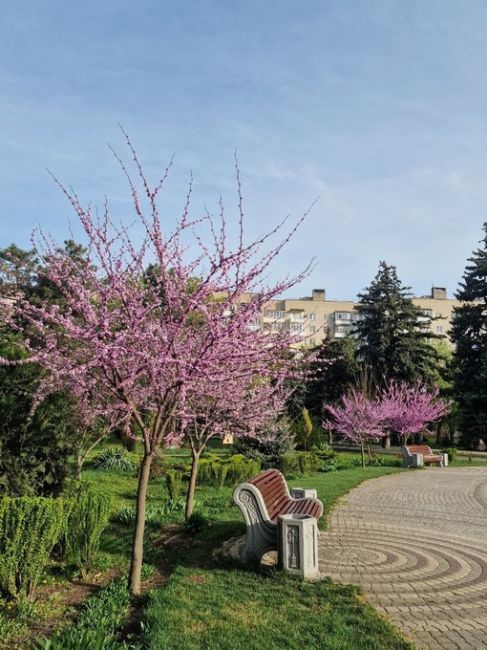 Весна в городе Азове 🌸  Бывали..