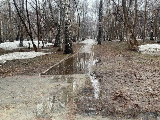 Журналисты НДН.инфо прогулялись по улицам и паркам города, чтобы оценить состояние Новосибирска весной и..