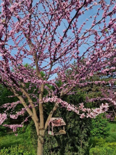 Весна в городе Азове 🌸  Бывали..
