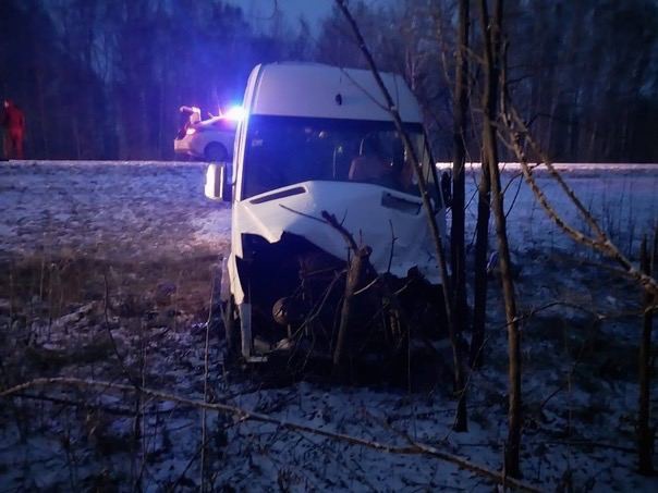 В Новосибирской области в ДТП с маршруткой и грузовиком пострадали девять человек  В ДТП с маршруткой и..