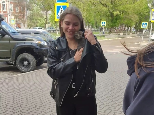 Спасатели в Каменске-Шахтинском нашли необычный способ выманить котёнка, который застрял в рекламном щите...