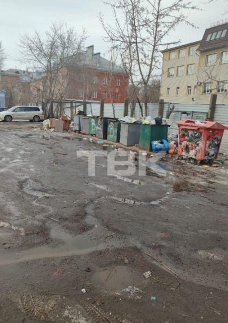 Крысы обживаются не только на помойке, но и в машинах  «Ул. Московская, 5 и 5а. Крик о помощи! Уже не первый год..