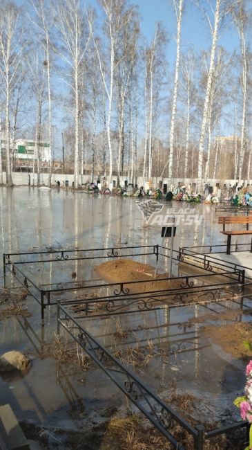 Новосибирцы пожаловались на затопление Южного и Гусинобродского кладбищ  Вода поднялась выше некоторых..