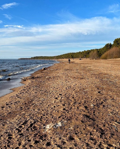 Пляж Липово в Ленобласти..