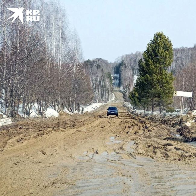 Глава СК Бастрыкин взял на контроль состояние дорог в Новосибирской области  Ранее жители поселка..
