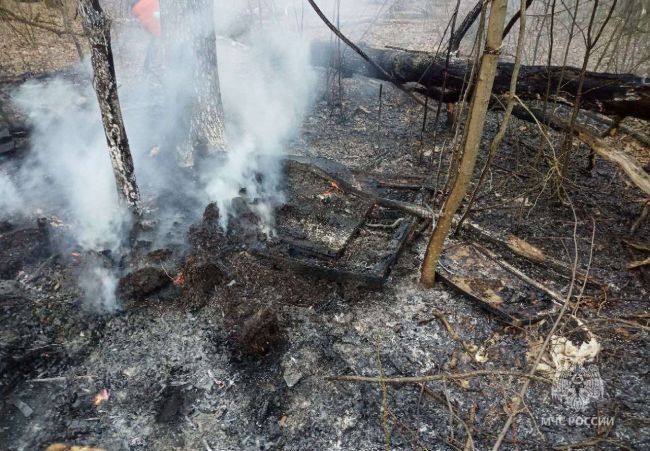 В Самарской области произошел первый лесной пожар  Где произошло ЧП?  В четверг, 17 апреля, на пульт..