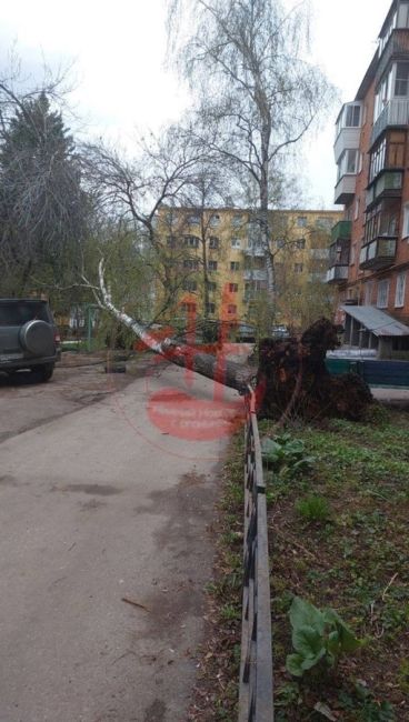 На Заломова у дома 8 упало дерево и оборвало провода, со слов местных жителей, дом остался без электричества.
..