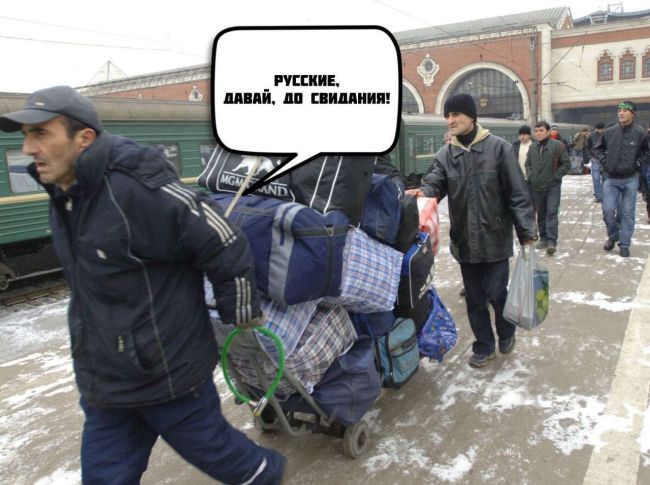 5628 мигрантов покинули Новосибирскую область на прошлой неделе  Из них 84-х выдворили за пределы страны за..