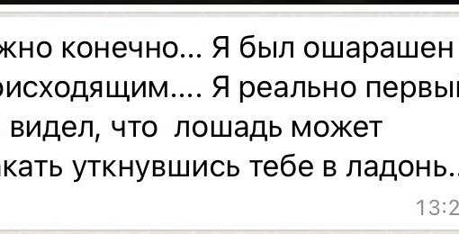 МаксимальныйЯ много ужасного видела, конечно, за годы работы в новостях…
Но сегодня не спасла никакая броня…..