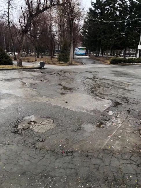 Журналисты НДН.инфо прогулялись по улицам и паркам города, чтобы оценить состояние Новосибирска весной и..