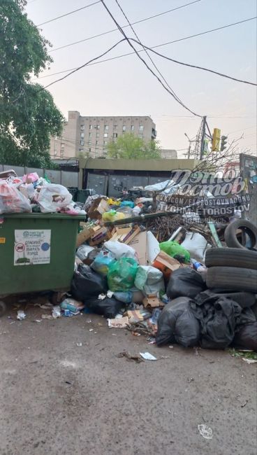 🤢Тем временем Ростов утопает в мусорных свалках. С приходом жары мусор начал разлагаться...