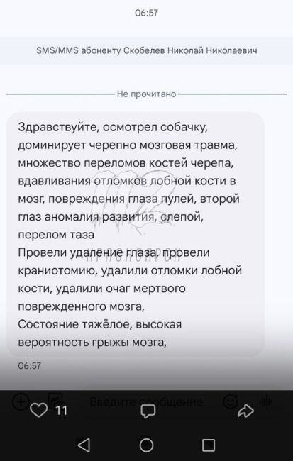 🔞 «Что за изверг это сделал?»: в мусорном контейнере в Иланском нашли изнемождённую до смерти избитую и..