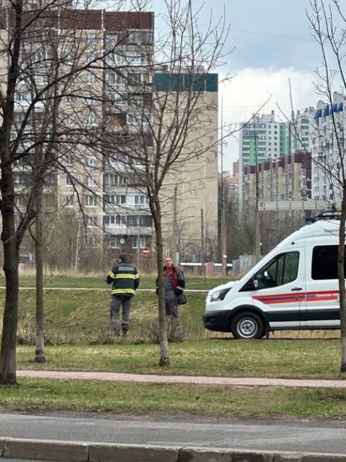 На Ольховой улице в озере Долгое было обнаружено тело женщины..