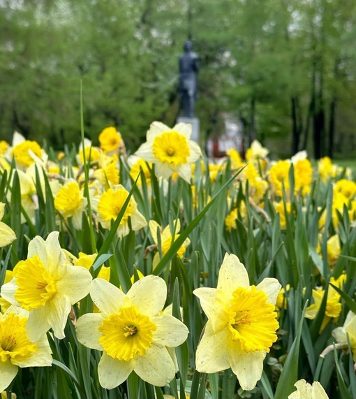 Весна в парке Горького 🌷.  Фото:..