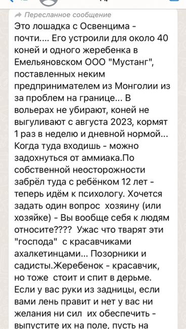 МаксимальныйЯ много ужасного видела, конечно, за годы работы в новостях…
Но сегодня не спасла никакая броня…..