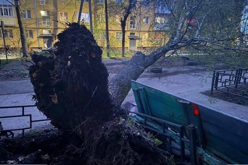 На Заломова у дома 8 упало дерево и оборвало провода, со слов местных жителей, дом остался без электричества.
..