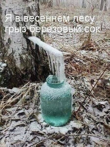 Аномальный холод ждёт Татарстан завтра. 
Это будет самое холодное 9 мая за 25 лет. Прогнозируют температуру..