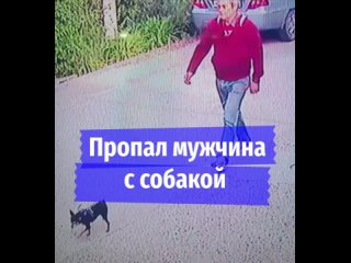 В Геленджике при загадочных обстоятельствах пропал 55-летний мужчина с собакой  Андрей Белоусов вышел на..