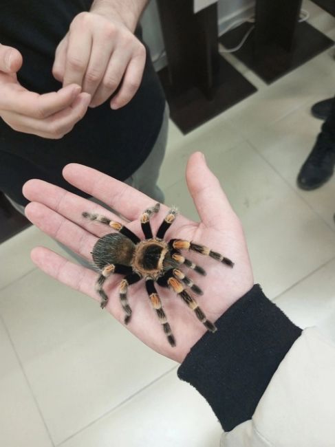 Erid: 2VtzqvbCzfH
ㅤㅤㅤㅤ
Приглашаем вас в самое захватывающее место в Челябинске - [club178925583|нашу уникальную..