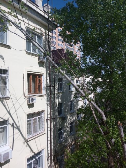 Наши подписчики пишут, что на Ленина, 48 Ростов-на-Дону уже неделю висит на проводах огромная..