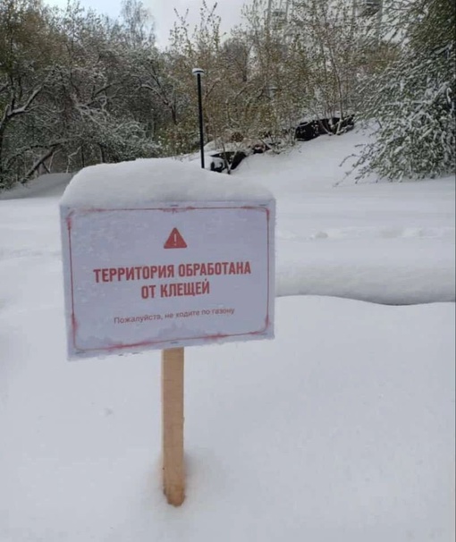 В Свердловской области зарегистрировано 5 713 пострадавших от присасывания клещей  Недельное число клещевых..