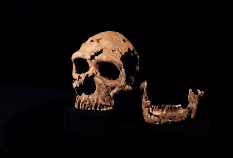 Учёные показали лицо неандертальской женщины, жившей 75 тысяч лет назад  В 2018 году в Ираке были найдены..