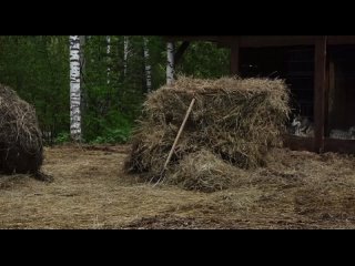 Доброе утро! Наш клуб делится свежими новостями о нашей ситуации, мы продолжаем отстаивать наши права и..