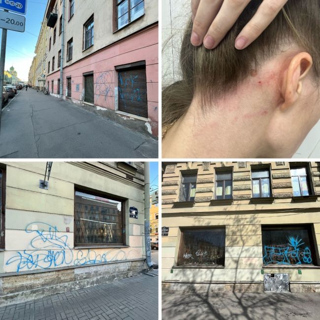 Петербурженка заявила в полицию на вандалов, наносящих похабные рисунки на исторические здания. Хулиганы..