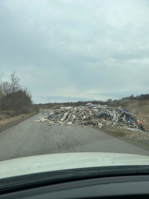 На севере Москвы в лесополосе нехорошие люди скинули строительный мусор. Проехать сложно, птицы разносят..