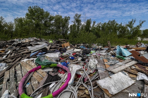 🤯 Кто-то организовал огромную свалку в Московском районе. Горы мусора выросли прямо в зеленой зоне..