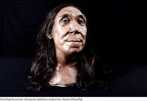 Учёные показали лицо неандертальской женщины, жившей 75 тысяч лет назад  В 2018 году в Ираке были найдены..