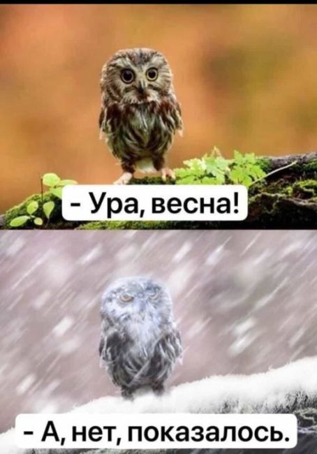 Наш снежный Екатеринбург..