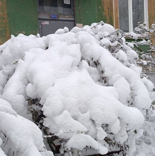 Утро 4 мая в Свердловской области.  Местные украшают ёлки, лепят снеговиков и снова открывают горнолыжный..