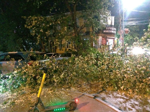 Накануне на пересечении Лермонтовской и Гвардейского рухнуло старое дерево, придавило припаркованные..