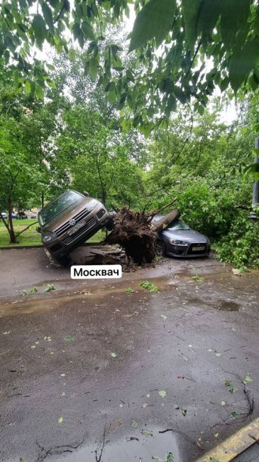 В Москве традиционный еженедельный ураган 
Уже известно об одном погибшем — мужчину придавило деревом в..