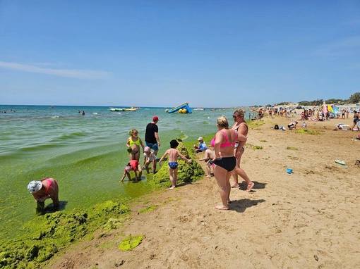 Черное море на курортах Краснодарского края прогрелось до июльских значений  Температура воды на..