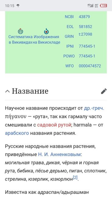 В аэропорту Самары изъяли килограмм Ведьминой травы  Наркосодержащее растение Гармала с начала 2024 года 4..