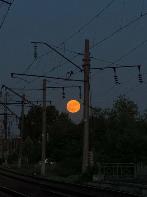 Этой ночью было очень красивое полнолуние 🌕  Автор, найдись..