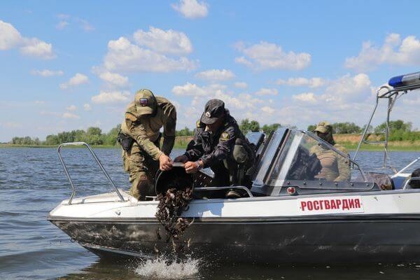 В Самарской области омоновцы выпустили на волю 4 тысячи раков  Сотрудники Росгвардии обнаружили добычу..