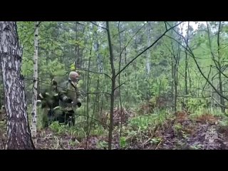 Двое маленьких детей пропали в Свердловской области. Прямо сейчас сотни волонтёров, сотрудников МЧС и..