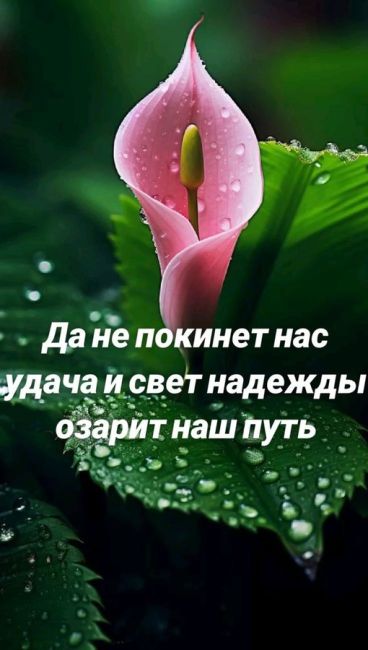 На следующей неделе в Свердловской области ожидается жара до +30  С 11 по 15 июня жители региона будут..